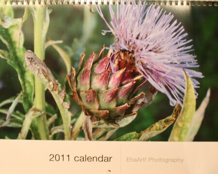 2011 EhaArt! Photography Calendar